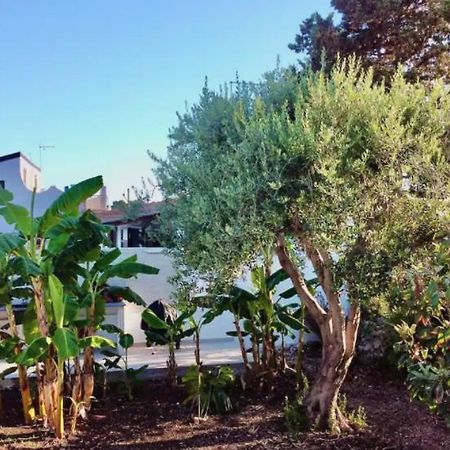 Villa Mare Blue Sr Nuovissima Villa 150M Dal Mare Adatta A Bambini Terrauzza Eksteriør bilde
