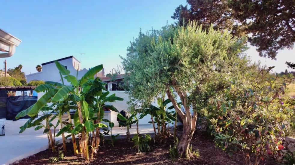 Villa Mare Blue Sr Nuovissima Villa 150M Dal Mare Adatta A Bambini Terrauzza Eksteriør bilde